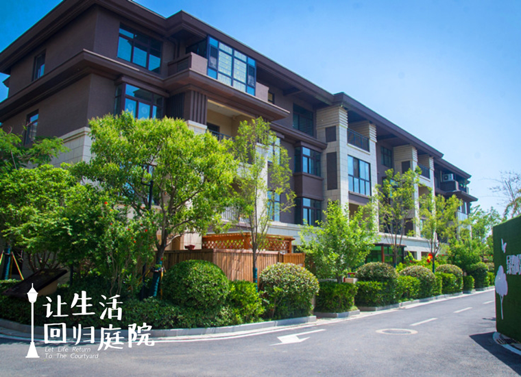 前后张望南阳50年：这样的庭院，，，，，很难再有了！