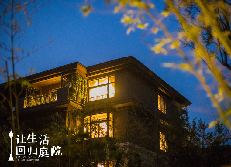 前后张望南阳50年：这样的庭院，，，，，很难再有了！