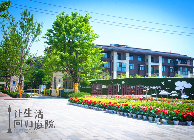 前后张望南阳50年：这样的庭院，，，，，很难再有了！