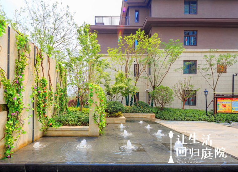 前后张望南阳50年：这样的庭院，，，，，很难再有了！