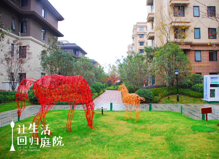 前后张望南阳50年：这样的庭院，，，，，很难再有了！