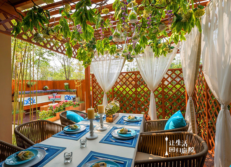 前后张望南阳50年：这样的庭院，，，，，很难再有了！