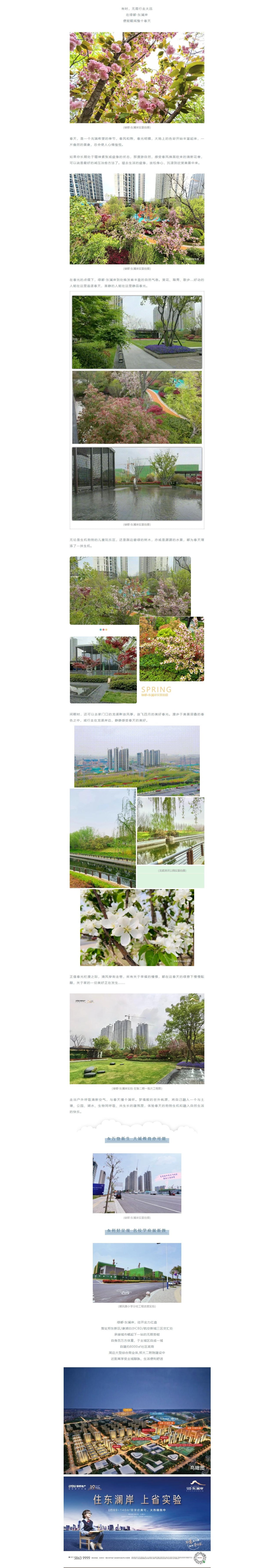 赏花踏青，，，，，，来一场和春天的约会