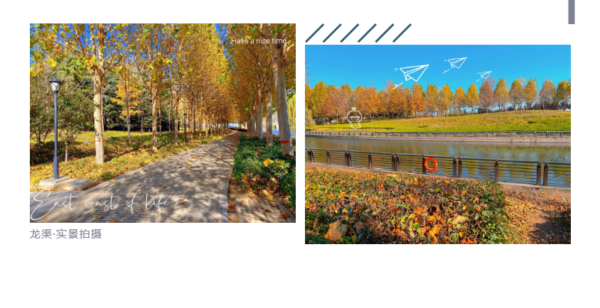 钜惠即止，，捡漏经开超人气明星热盘！