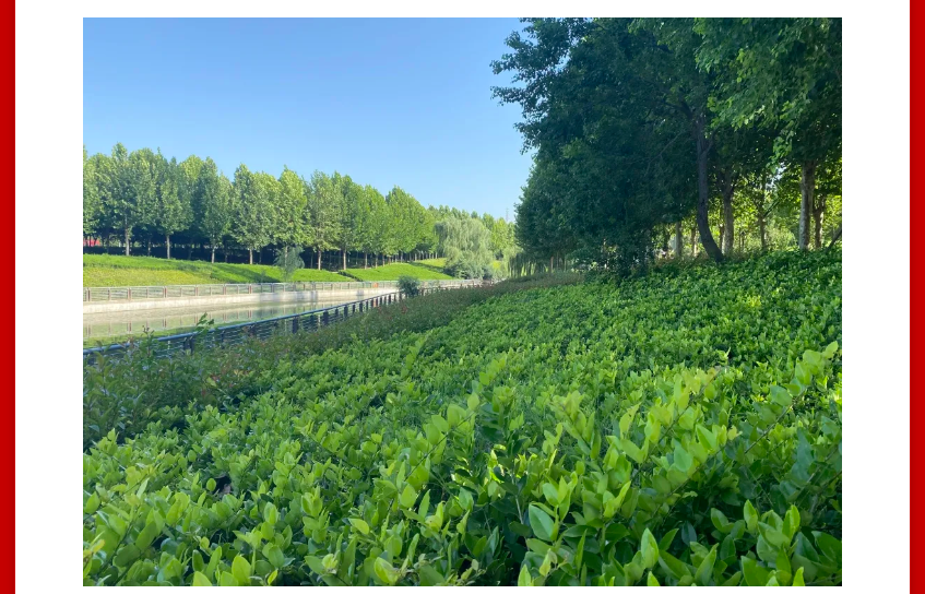 年终薅好房，，，，，，这个明星红盘把“出圈”举行究竟！