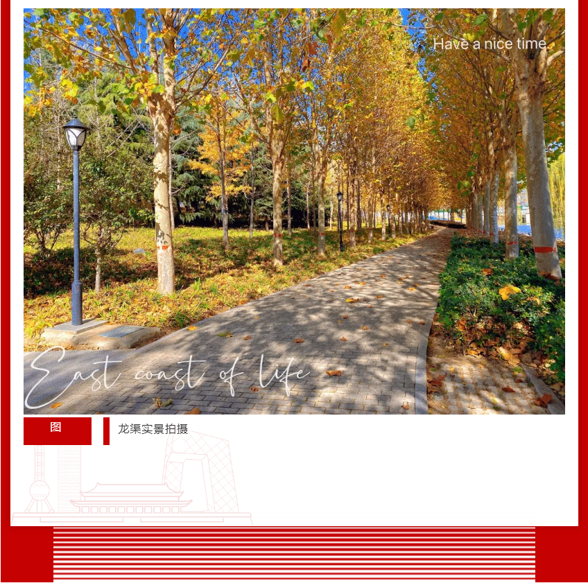 年终薅好房，，，，，，这个明星红盘把“出圈”举行究竟！